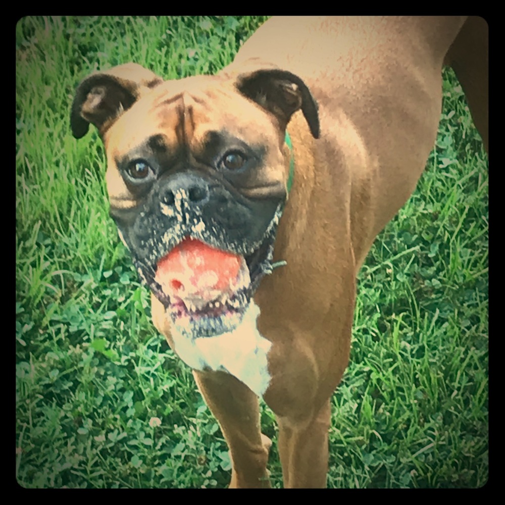 Meet your Posher, Brit